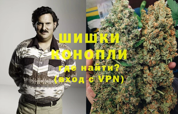 крисы Майский