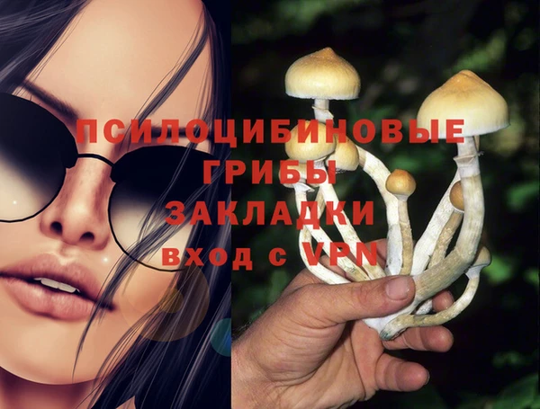 ALPHA PVP Магадан