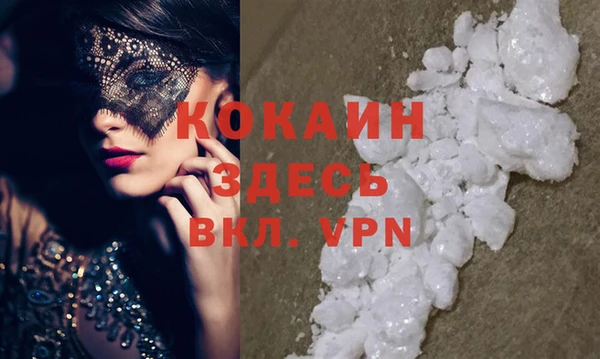крисы Майский